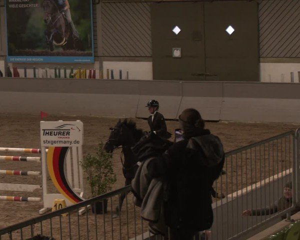 Reitturnier AZL Luhmühlen 2025