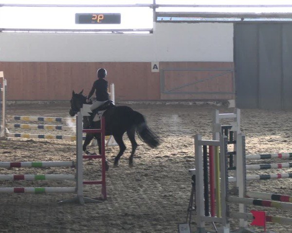 Reitturnier Datteln 2025