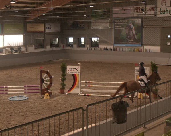 Reitturnier AZL Luhmühlen 2025