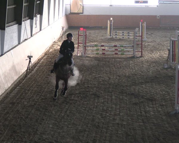 Reitturnier Datteln 2025