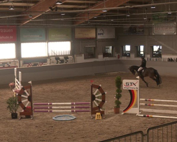Reitturnier AZL Luhmühlen 2025