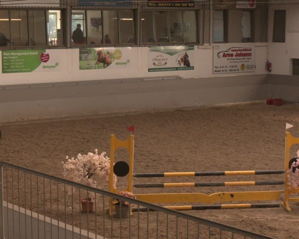 Reitturnier AZL Luhmühlen 2025