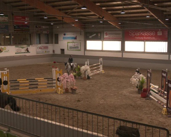 Reitturnier AZL Luhmühlen 2025