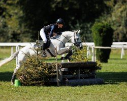 jumper Kilcogy Dawn (Connemara Pony, 2008, from Emoe Berti)