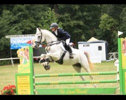 broodmare Sinfonie (Westphalian, 2010, from Sunday)