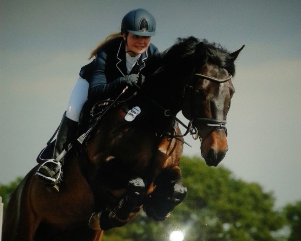 jumper Carlsson G (Holsteiner, 2008, from Ab 19 Chepetto)