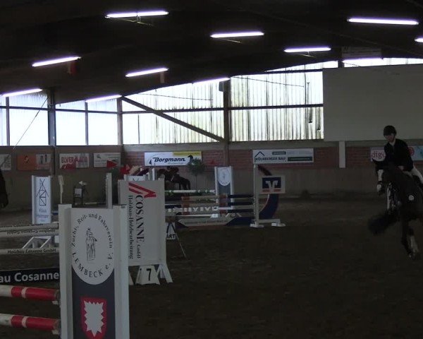 Reitturnier Lembeck 2025