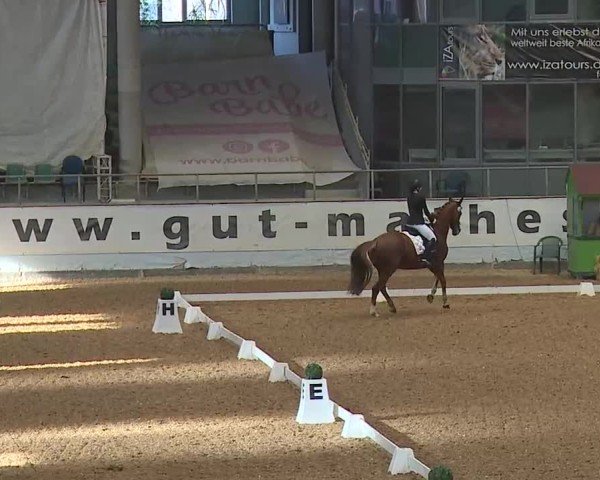Reitturnier Kreuth 2025