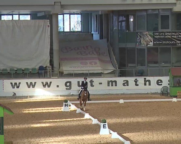 Reitturnier Kreuth 2025
