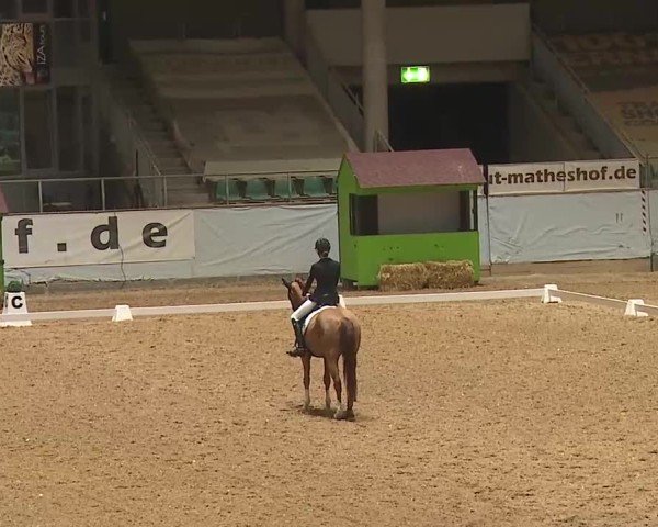 Reitturnier Kreuth 2025