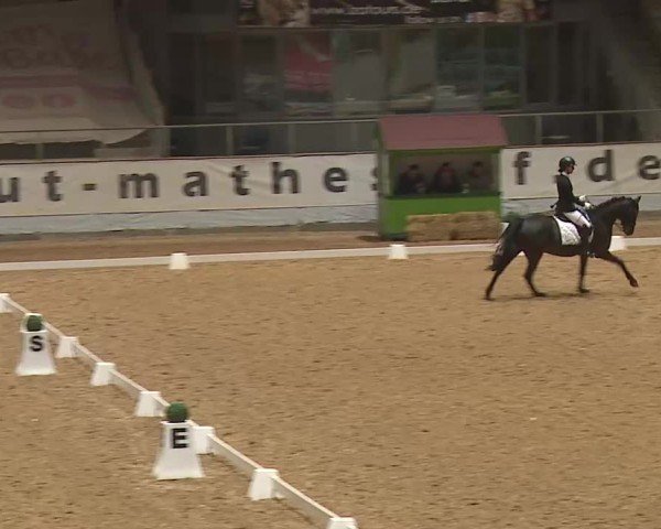 Reitturnier Kreuth 2025