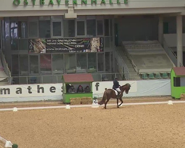 Reitturnier Kreuth 2025