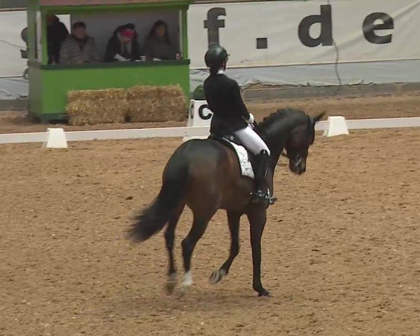 Reitturnier Kreuth 2025