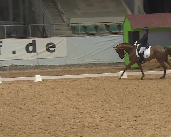 Reitturnier Kreuth 2025