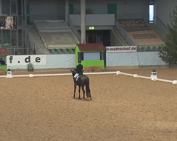 Reitturnier Kreuth 2025