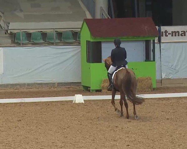 Reitturnier Kreuth 2025