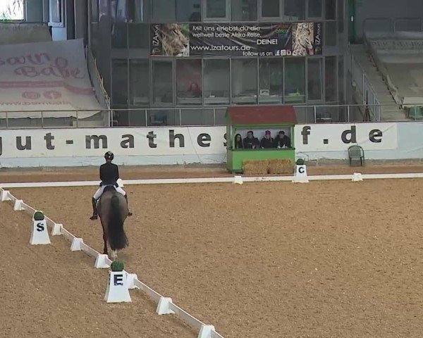 Reitturnier Kreuth 2025