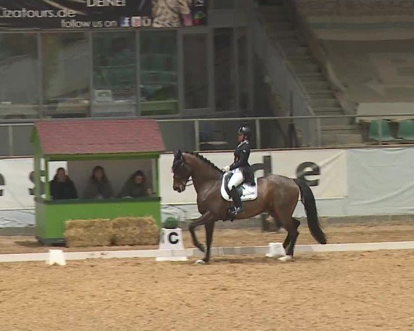 Reitturnier Kreuth 2025