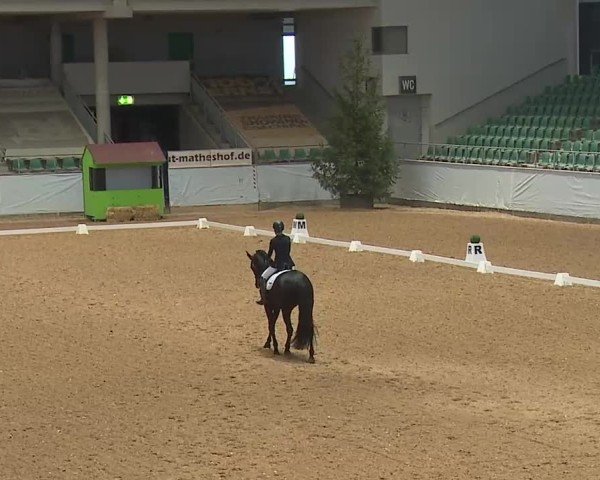 Reitturnier Kreuth 2025