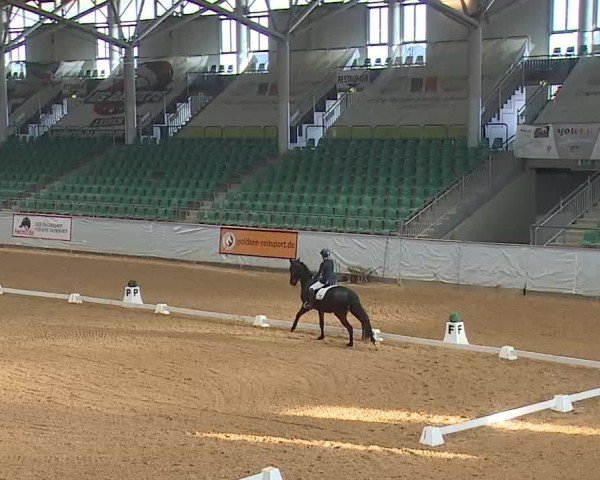 Reitturnier Kreuth 2025