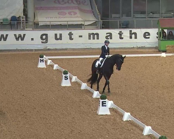 Reitturnier Kreuth 2025