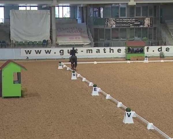 Reitturnier Kreuth 2025