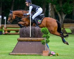 jumper Charles 94 (German Riding Pony, 2010, from Champions Boy)