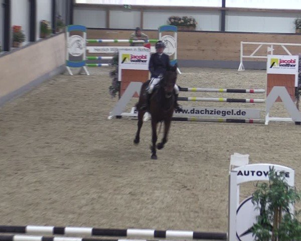 Reitturnier Borken (Hessen) 2025