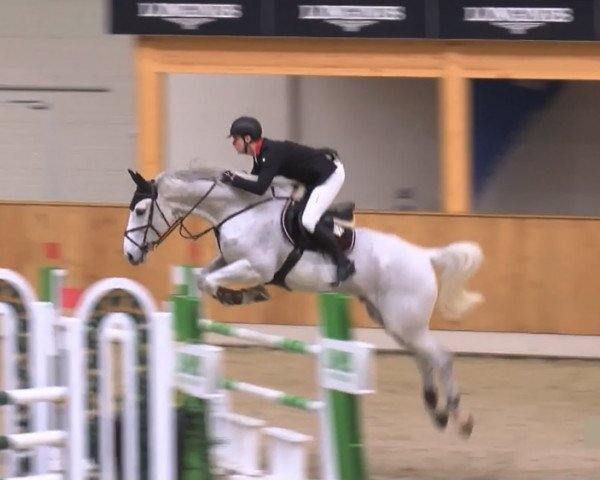 jumper Cord 13 (Hanoverian, 2007, from Count Grannus)