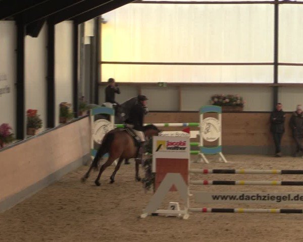 Reitturnier Borken (Hessen) 2025