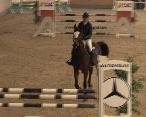 Reitturnier Borken (Hessen) 2025