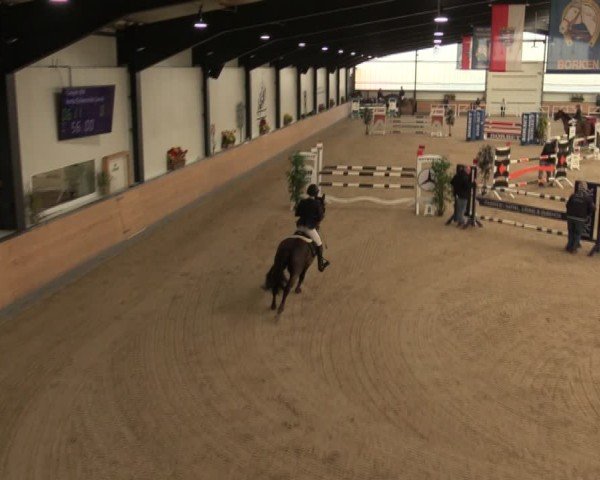 Reitturnier Borken (Hessen) 2025