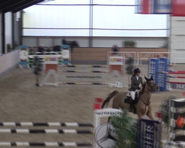 Reitturnier Borken (Hessen) 2025