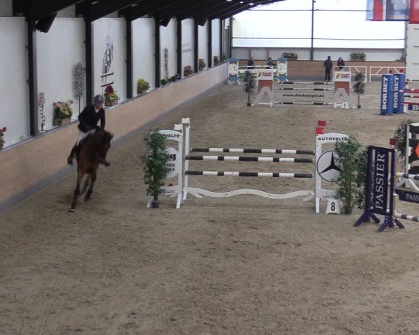 Reitturnier Borken (Hessen) 2025