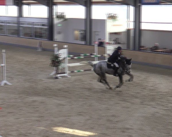 Reitturnier Borken (Hessen) 2025