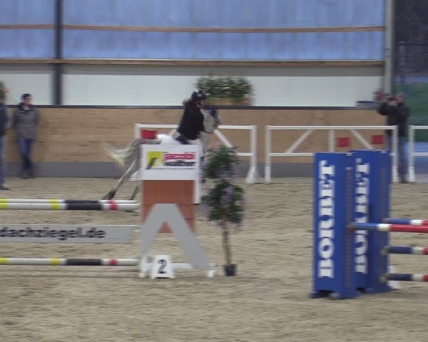 Reitturnier Borken (Hessen) 2025