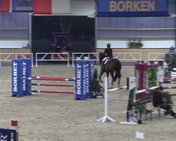 Reitturnier Borken (Hessen) 2025