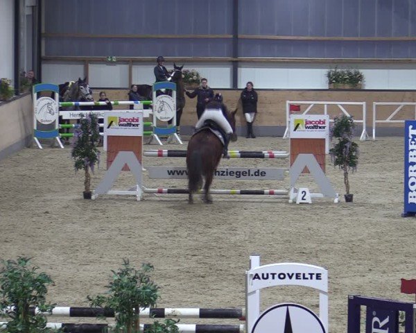 Reitturnier Borken (Hessen) 2025