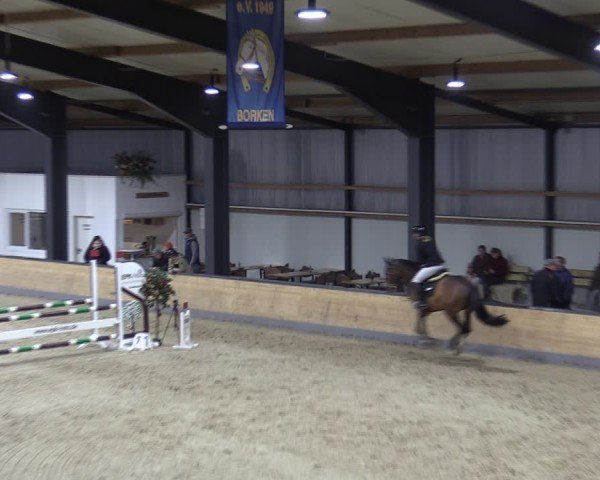 Reitturnier Borken (Hessen) 2025