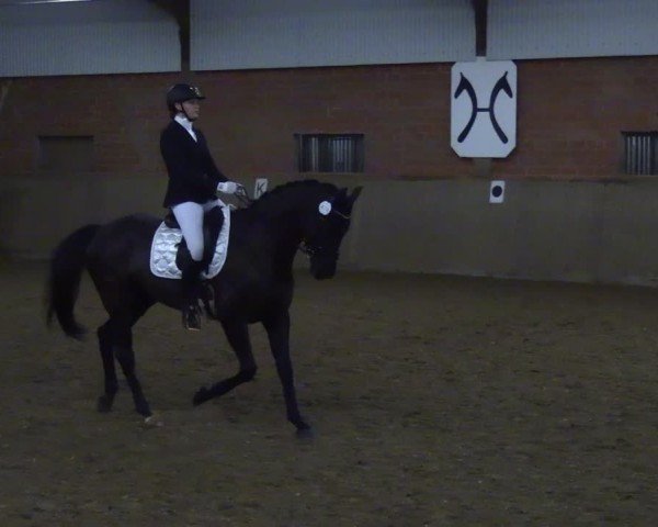Reitturnier Lembeck 2025