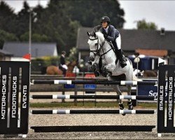 jumper Contella (Holsteiner, 2008, from Contender)