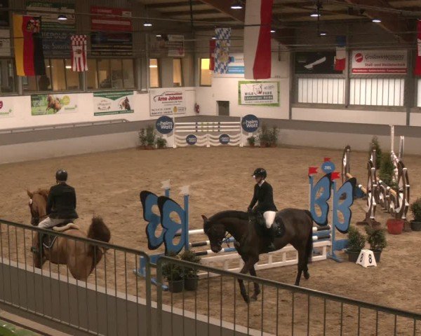 Reitturnier Luhmühlen 2025