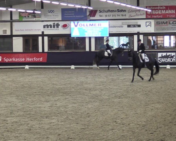 Reitturnier Vlotho-Exter 2025
