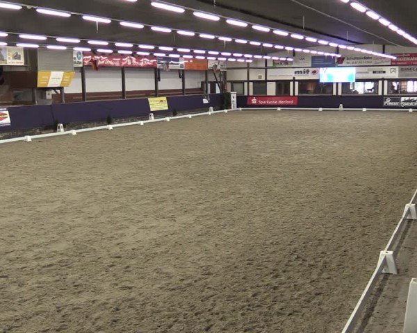 Reitturnier Vlotho-Exter 2025
