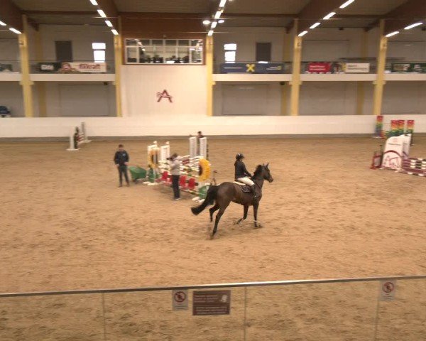 Reitturnier Stadl-Paura 2025