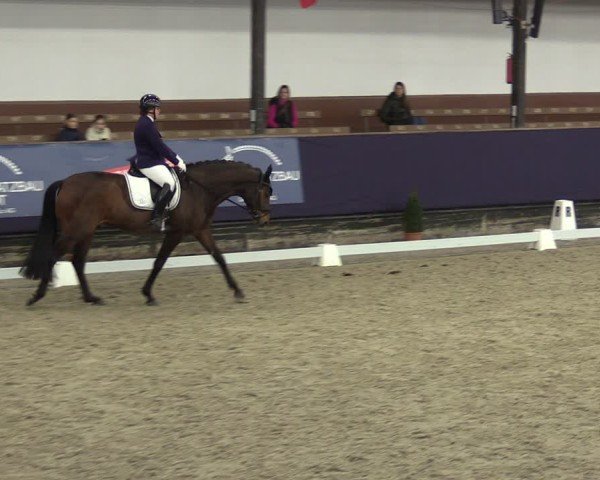Reitturnier Vlotho-Exter 2025