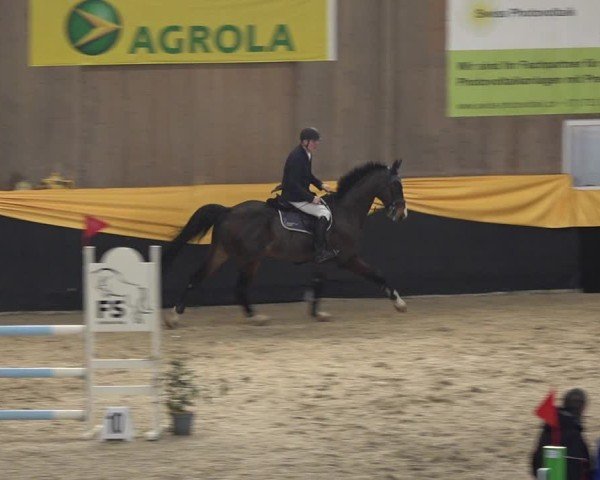 Reitturnier Erlen 2025