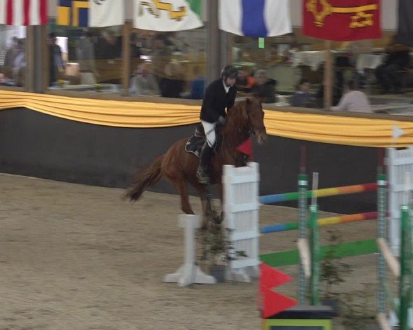 Reitturnier Erlen 2025