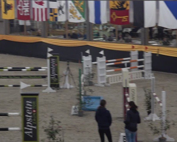 Reitturnier Erlen 2025