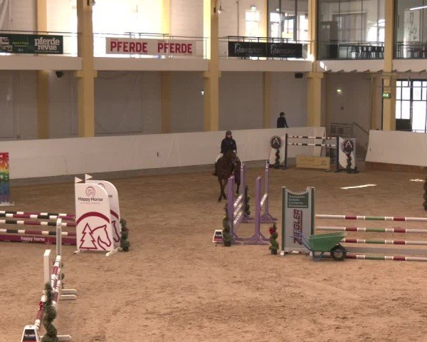 Reitturnier Stadl-Paura 2025